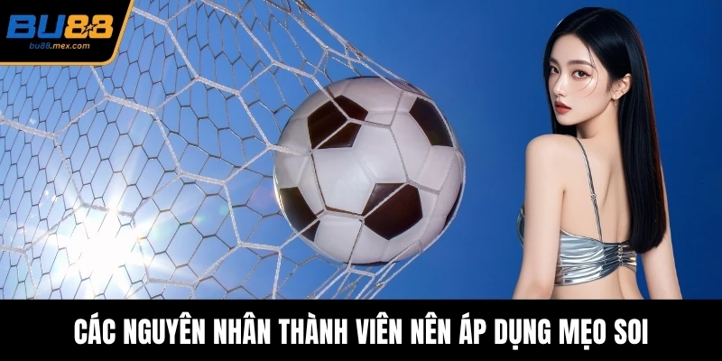 Các nguyên nhân thành viên nên áp dụng mẹo soi